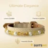 Quilted Leather Pet Collar - Pearl Citrine Chain