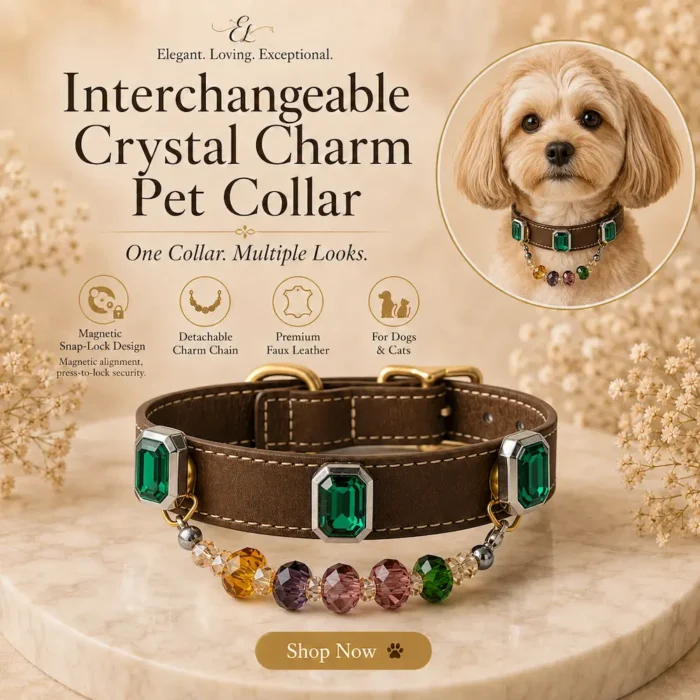 Emerald Charm Interchangeable-1 Emerald Charm Interchangeable Pet Collar