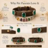 Emerald Charm Interchangeable-3 Emerald Charm Interchangeable Pet Collar