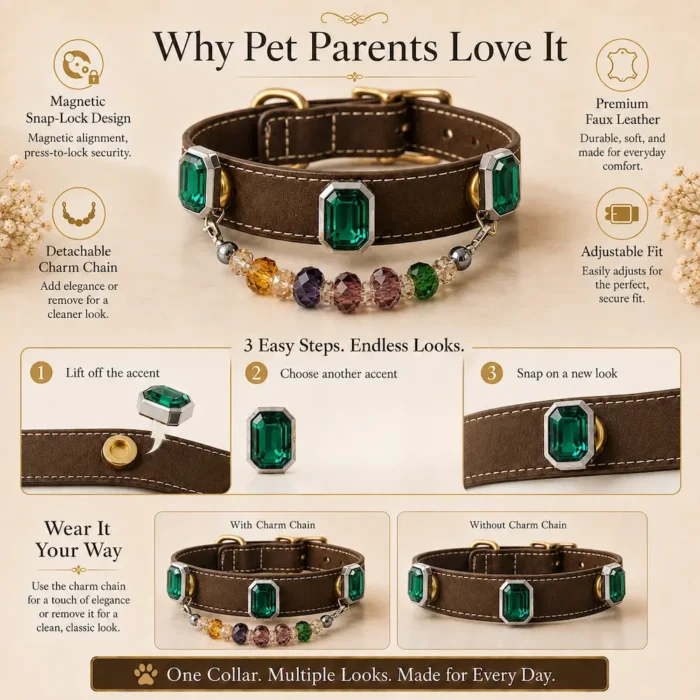 Emerald Charm Interchangeable-3 Emerald Charm Interchangeable Pet Collar