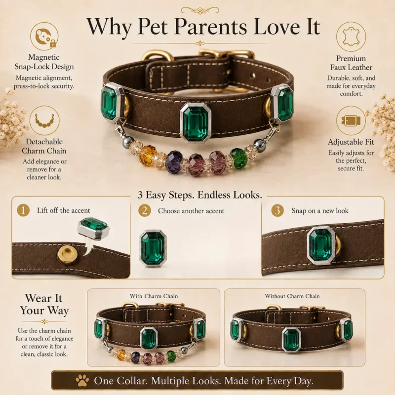 Emerald Charm Interchangeable Pet Collar