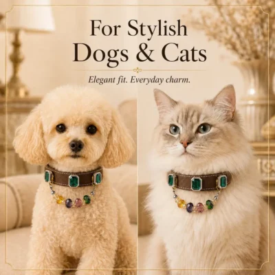 Emerald Charm Interchangeable Pet Collar