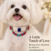 Ruby Sapphire Crystal Charm Pet Collar
