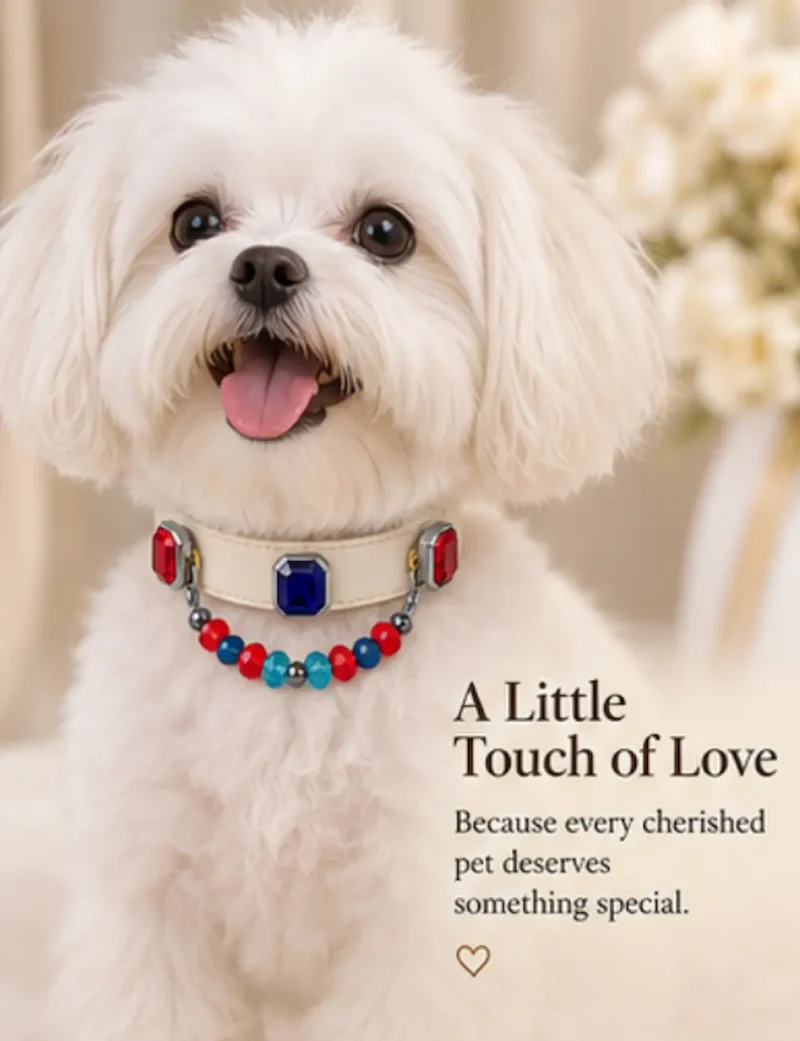 Ruby Sapphire Crystal Charm Pet Collar
