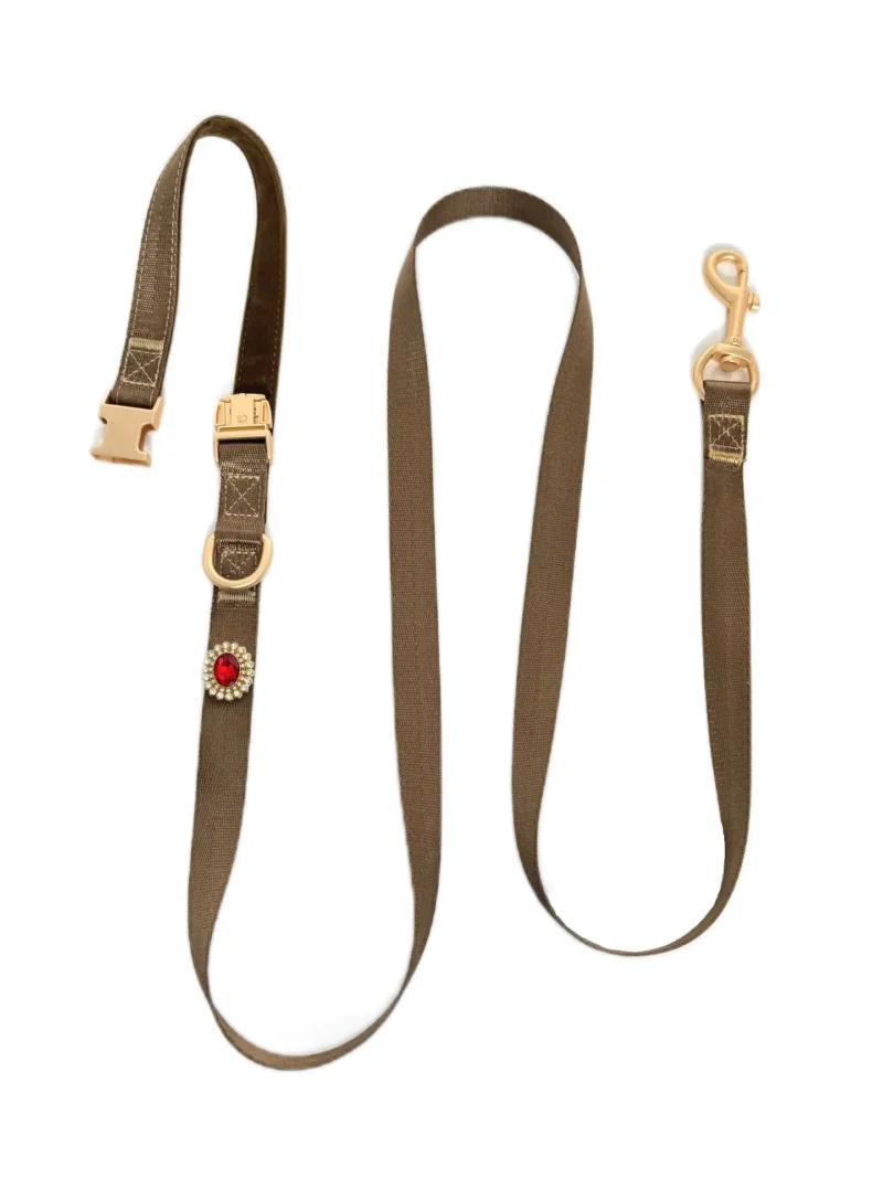 Brown Elegant Dog Leash