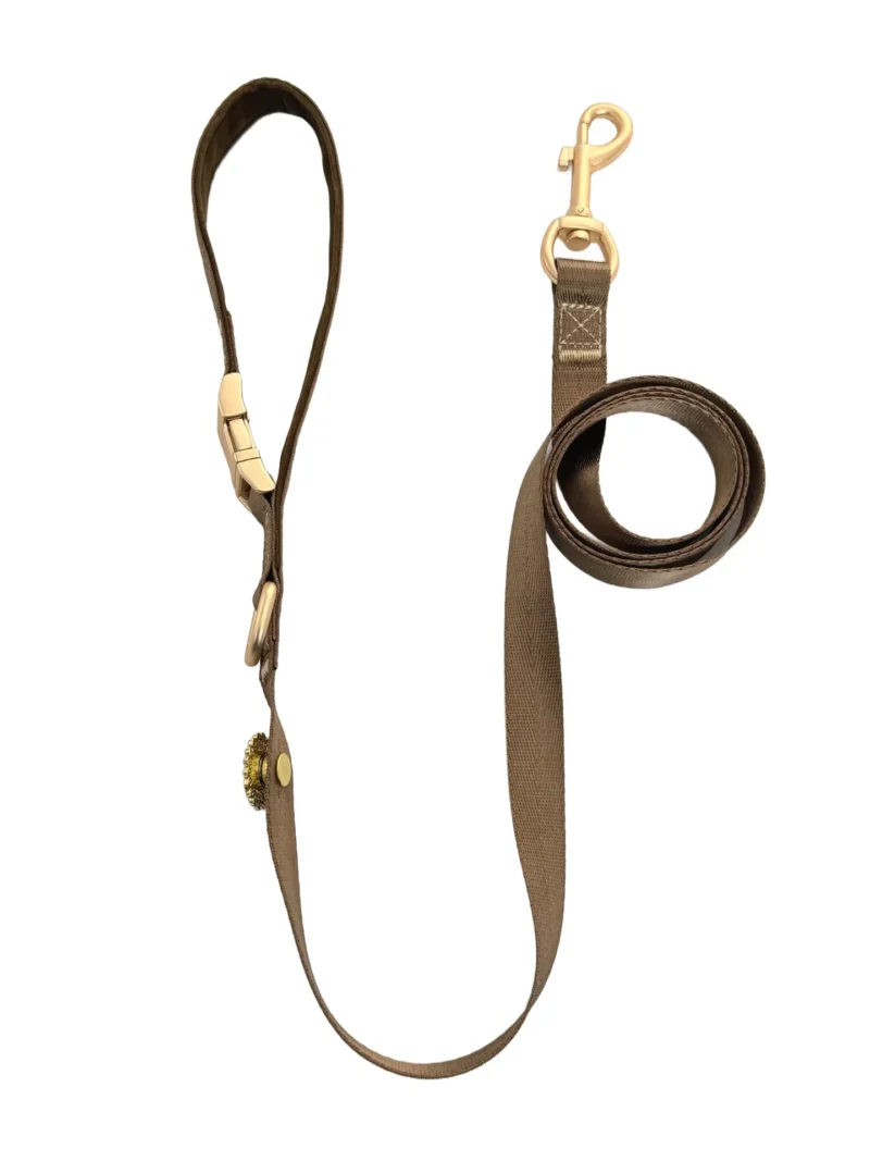 Brown Elegant Dog Leash