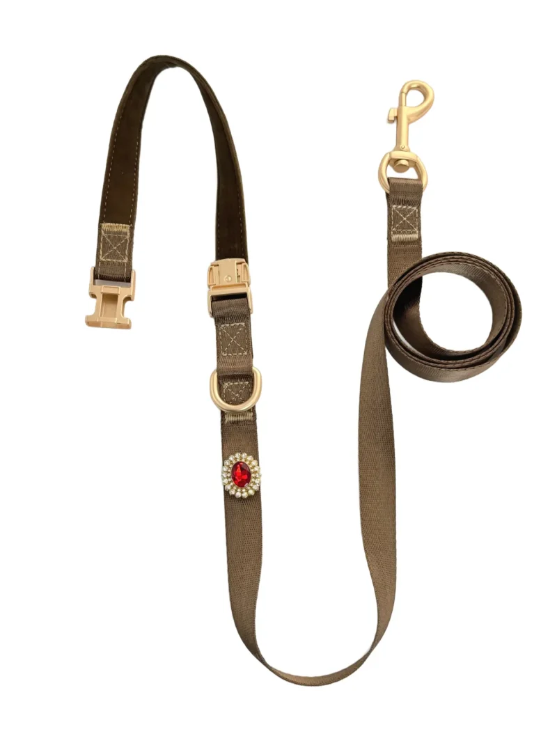 Brown Elegant Dog Leash