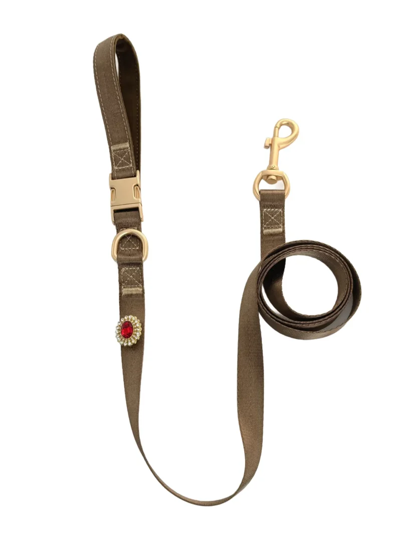 Brown Elegant Dog Leash