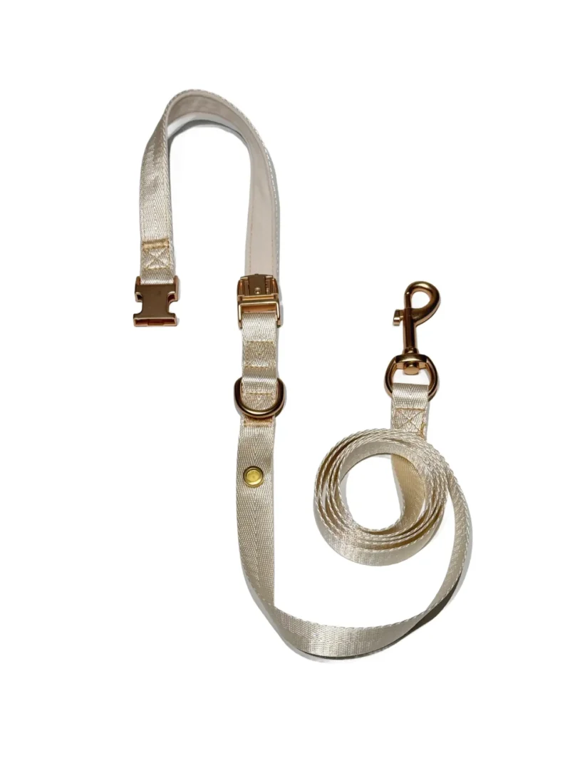 Cream Elegant Dog Leash
