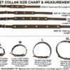 Emerald Charm Interchangeable Pet Collar