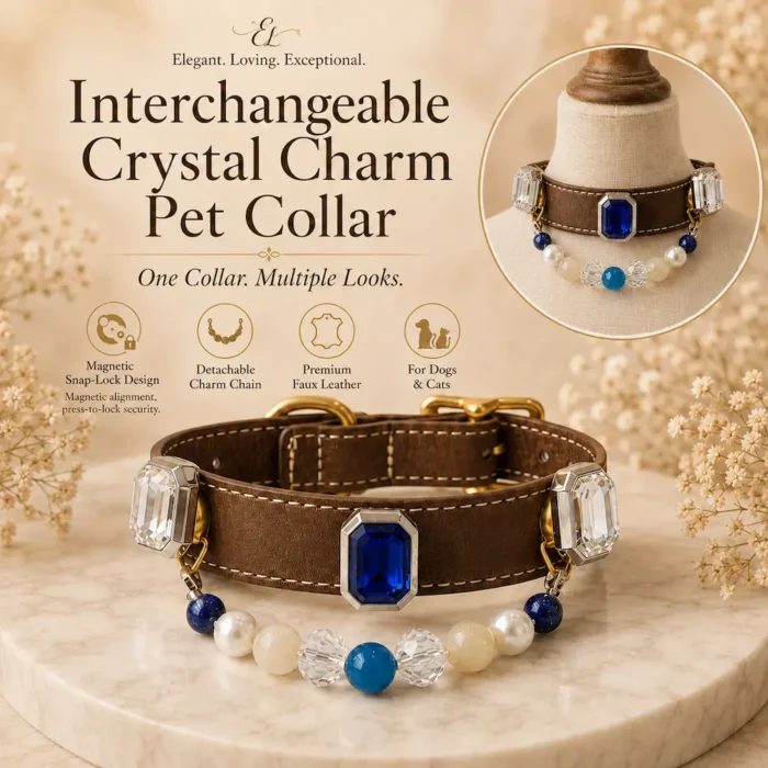 Interchangeable Crystal Charm Pet Collar Blue Agate