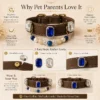Interchangeable Crystal Charm Pet Collar Blue Agate