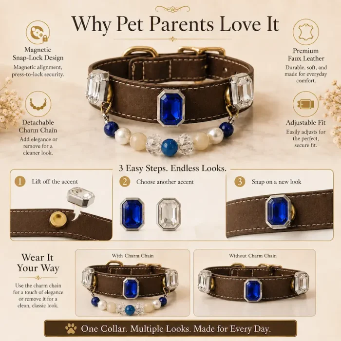 Interchangeable Crystal Charm Pet Collar Blue Agate